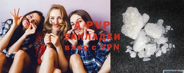 прущие крисы Карпинск