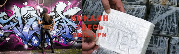 ешки Касимов
