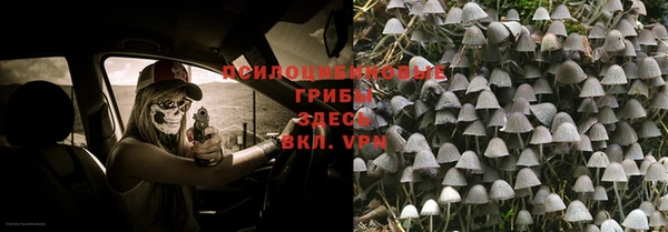 прущая мука Карталы