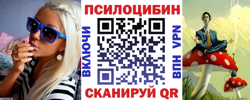 Купить где Беломорск Псилоцибиновые грибы прущие грибы
