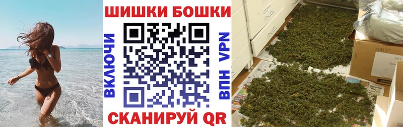 Каннабис сатива Беломорск